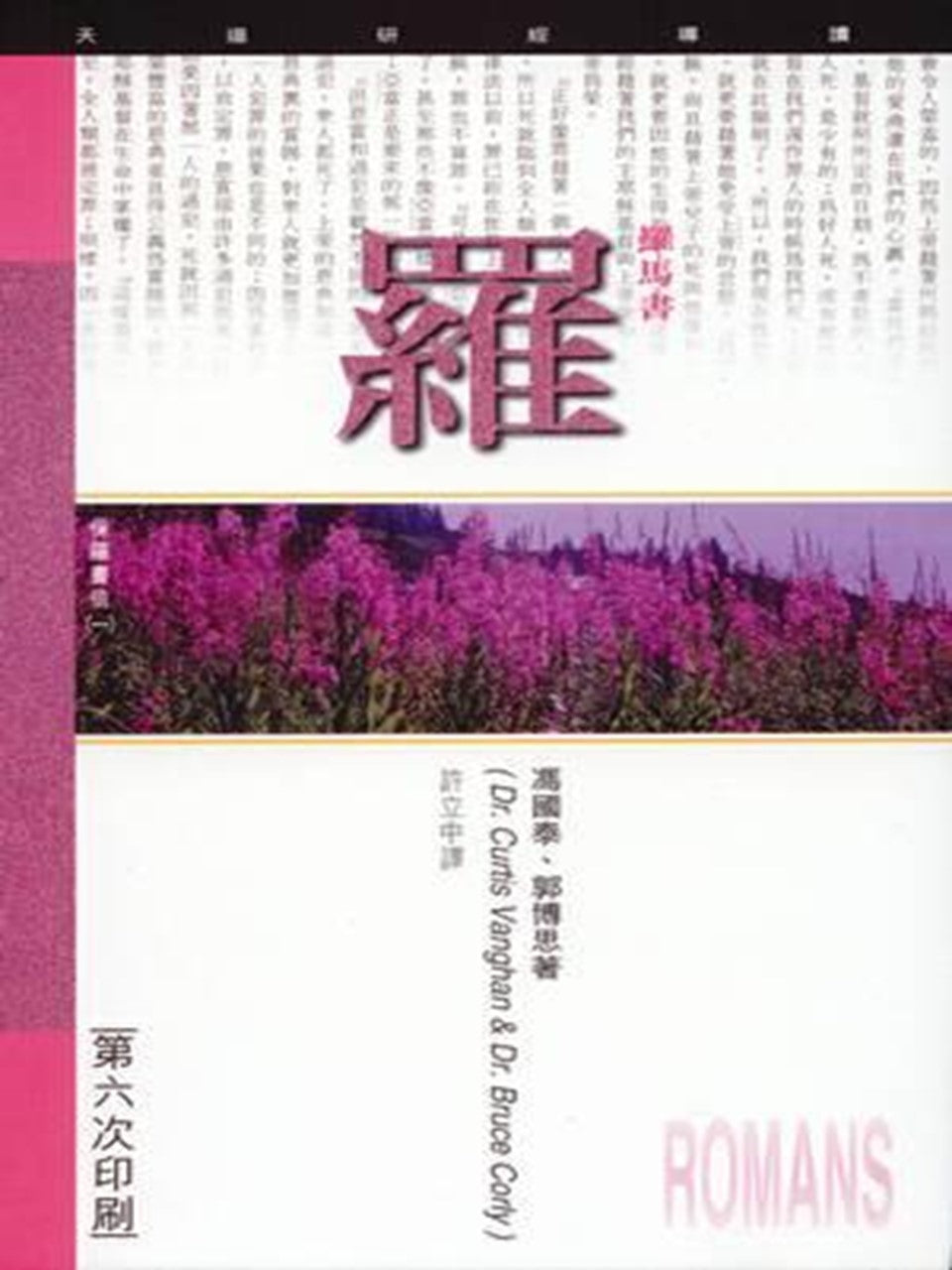 (天道研經導讀)羅馬書