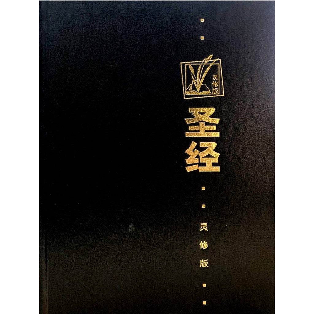 圣经 - 灵修版(CCS1134)简体